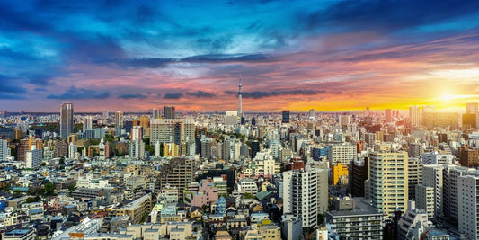 Tablou Canvas - Vedere Panoramica Tokyo