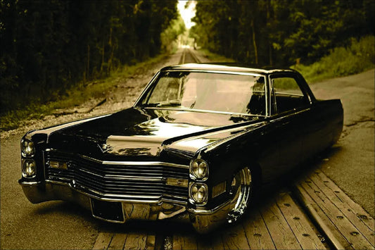 Tablou Canvas - Vehicul in Pădure