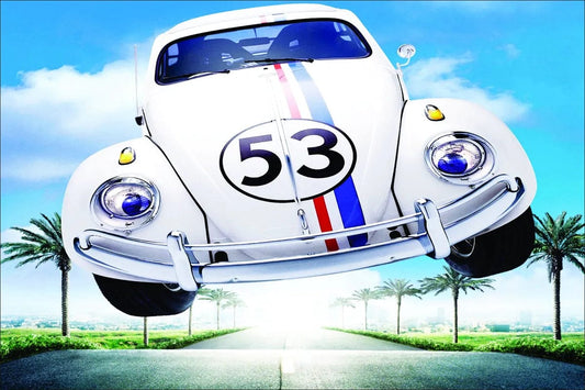 Tablou Canvas - Viteza în Aer