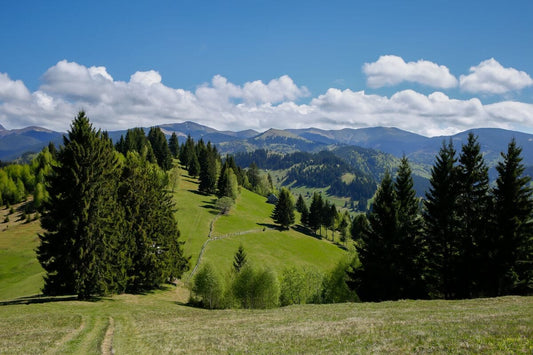 Amfiteatrul Transilvania💙