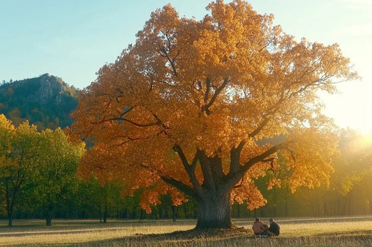 Tablou Canvas - Picnic