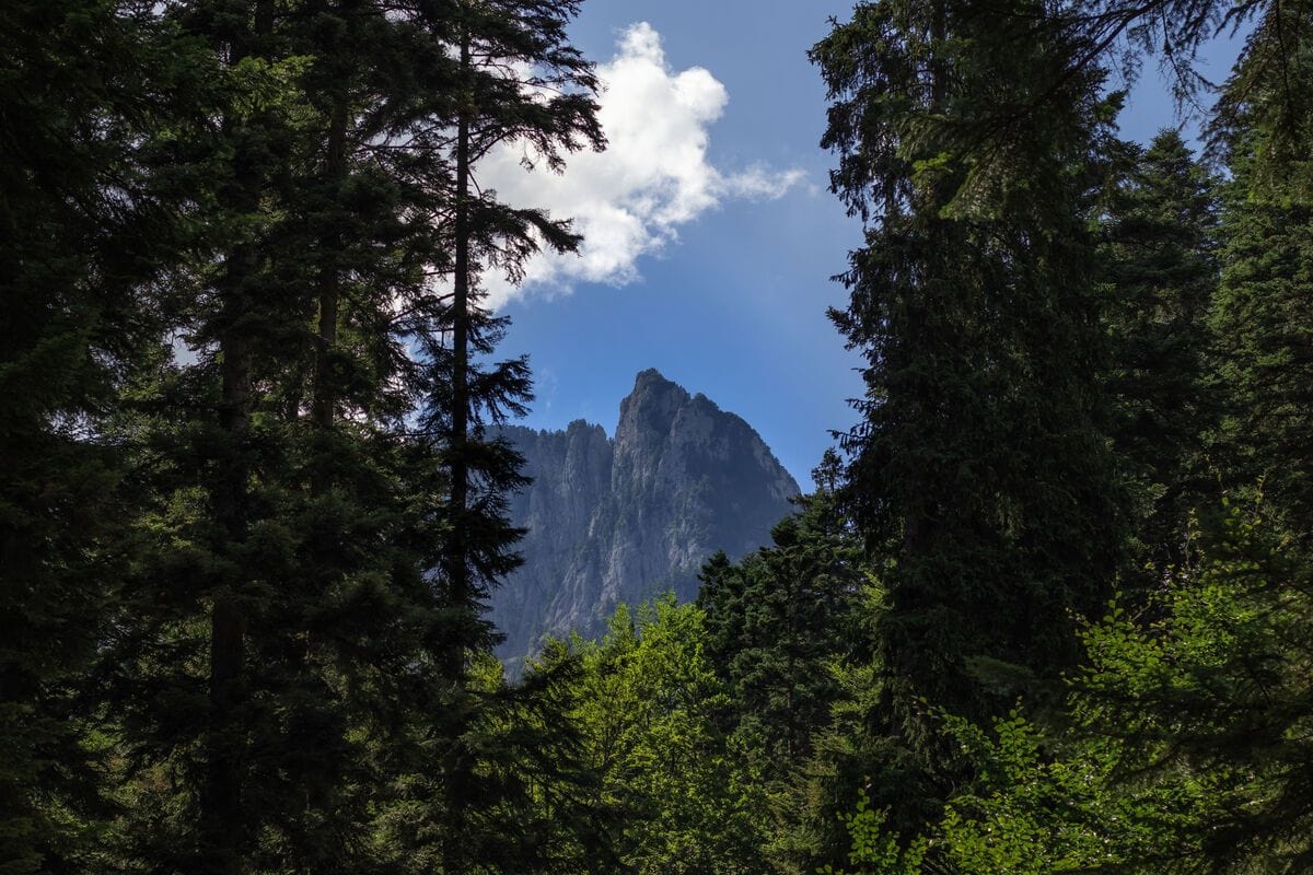 Vârf al Munților Bucegi