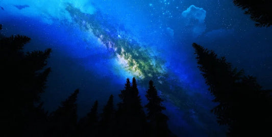 Tablou Canvas - Soparla Intergalactica