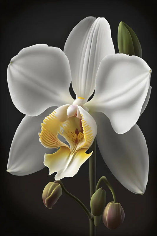 Tablou Canvas - Flori 230 Eleganta Vibranta