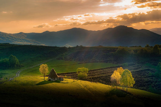 Lumina apusului pe deal