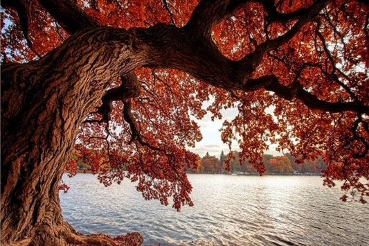 Tablou Canvas - Copac Aprins