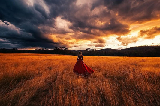 Tablou Canvas - Singura pe Camp