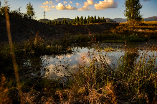 Tablou Canvas - Loc de liniste