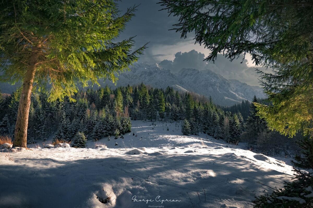 Umbre înghețate - Valea Urșilor, Piatra Craiului
