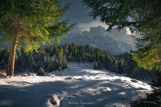 Umbre înghețate - Valea Urșilor, Piatra Craiului