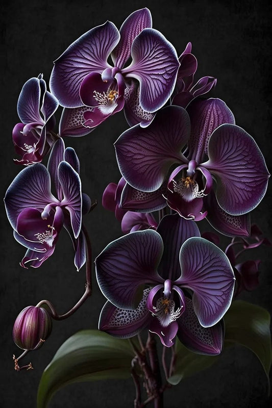 Tablou Canvas - Flori Elegante 224