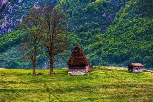 Casuta strabunicilor