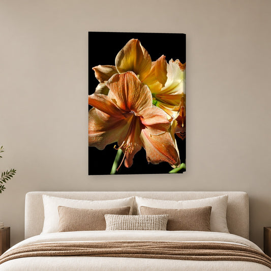 Tablou decorativ - Amaryllis piersica pe perete, in camera - Zibo.ro