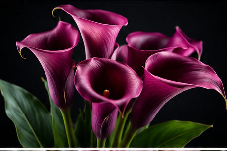 Tablou decorativ cu cale magenta pe fundal negru