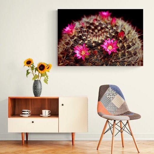 Tablou canvas - Cactus - Zibo.ro