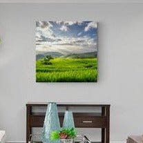 Tablou Canvas - Campie Inverzita - Zibo.ro