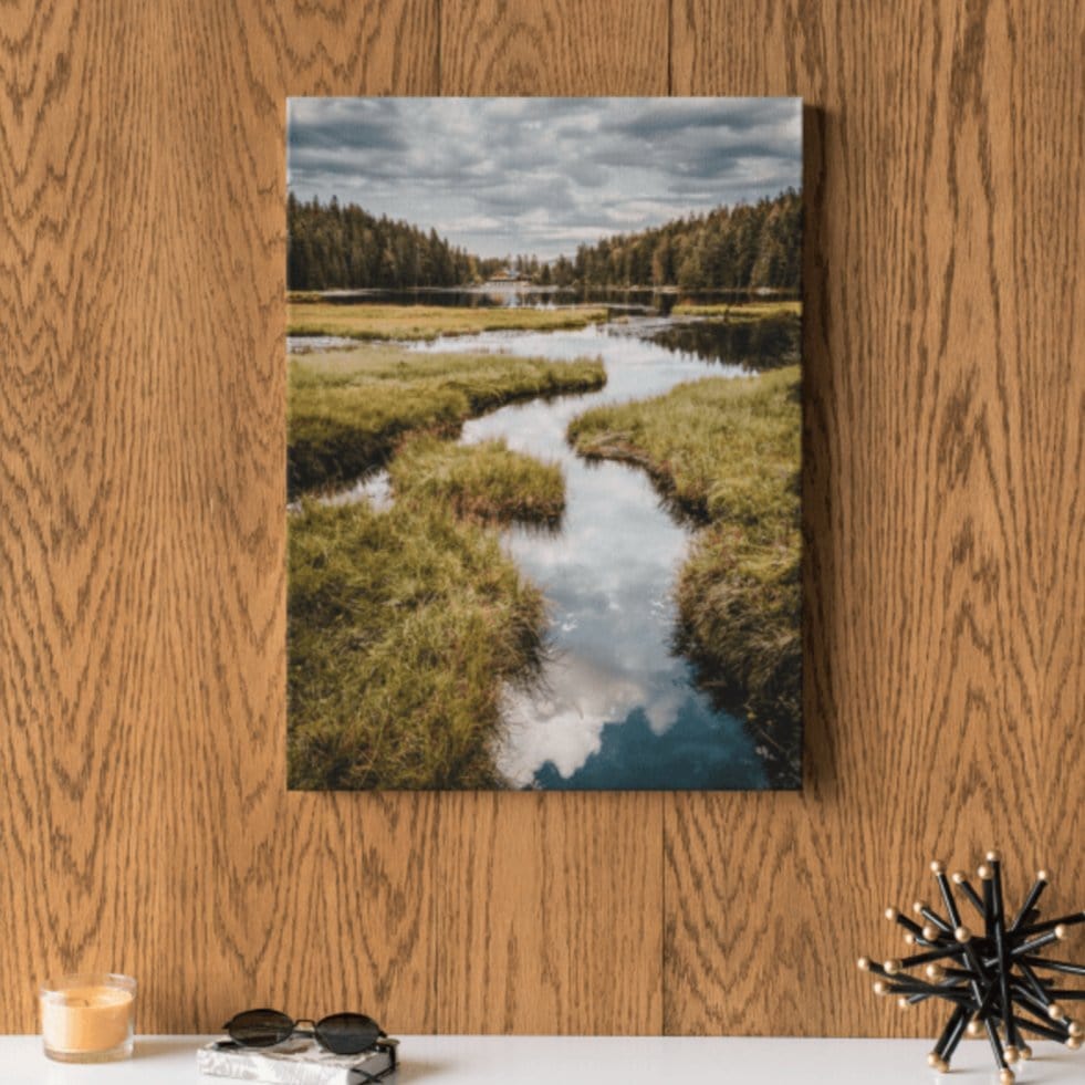 Tablou canvas - Delta - Zibo.ro