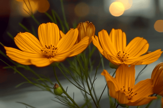 Tablou Canvas - Buchet Flori de Padure