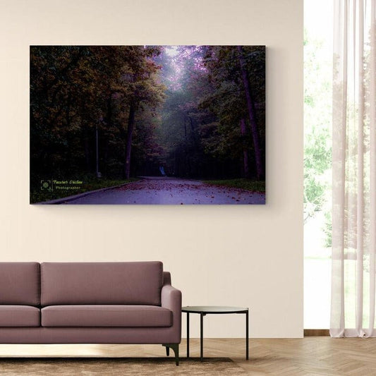 Tablou canvas romanesc - Pădurea Meses! - Cameradevis.ro