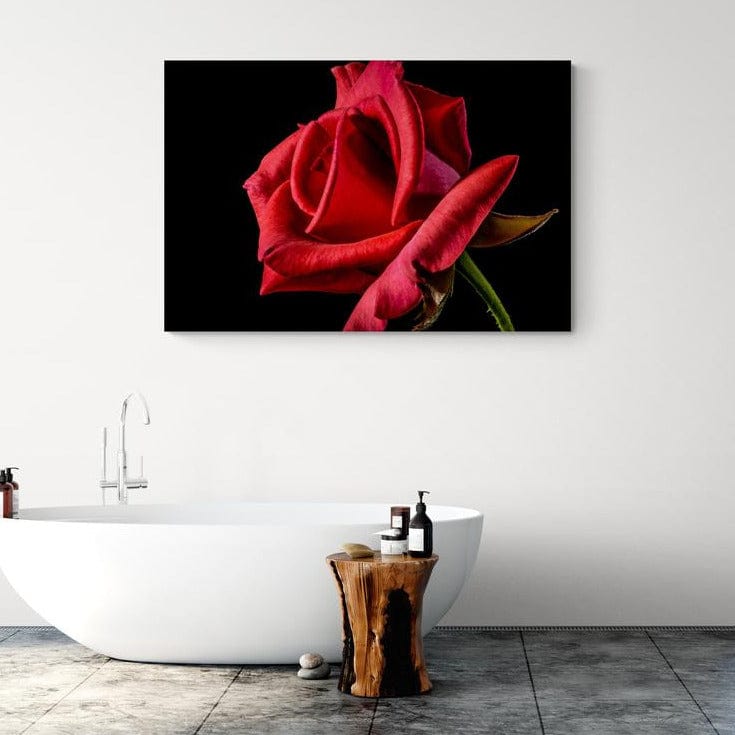 Tablou canvas - Trandafir rosu - Cameradevis.ro