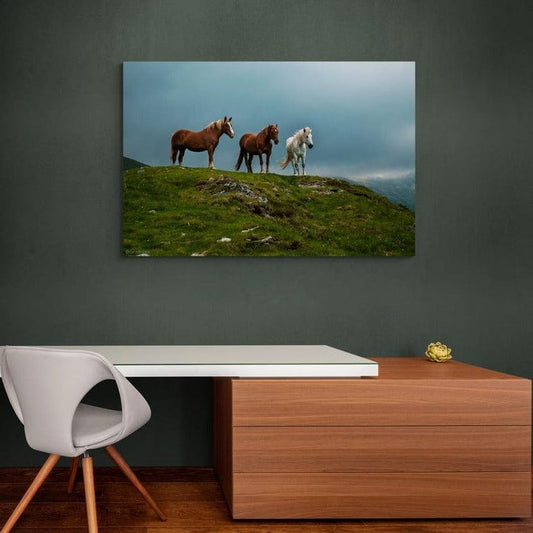 Tablou canvas romanesc - Freedom. Parâng - Cameradevis.ro Cameradevis.ro