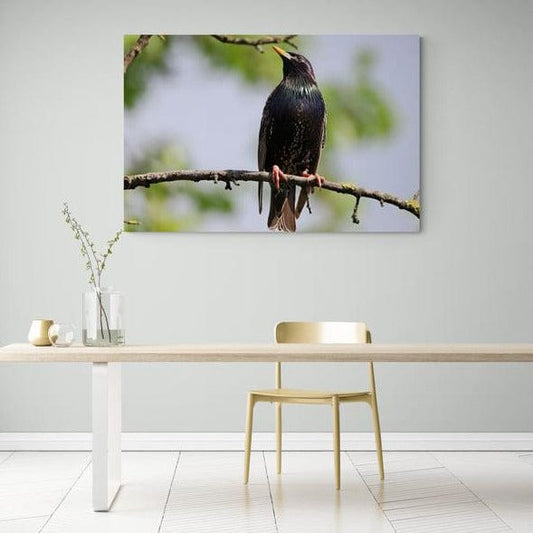 Tablou canvas romanesc - Graur - Cameradevis.ro