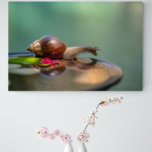 Tablou canvas -Melc pe apa 2 - Cameradevis.ro