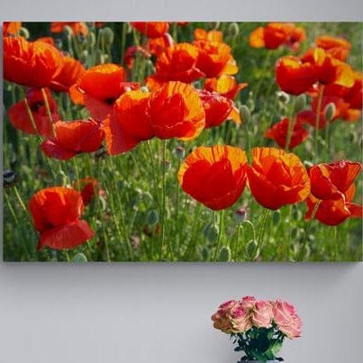 Tablou canvas -Flori de mac - Cameradevis.ro