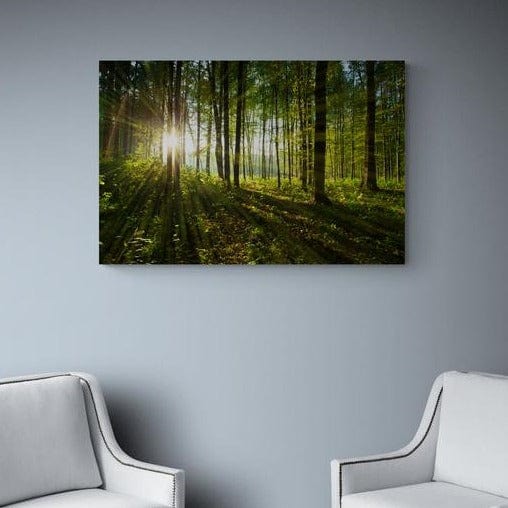 Tablou canvas - Rasarit de soare in padure - Cameradevis.ro