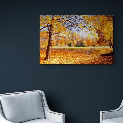 Tablou canvas - Toamna in parc - Cameradevis.ro