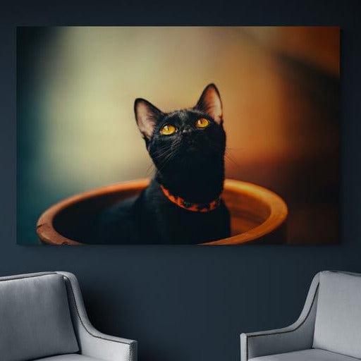 Tablou canvas - Pisoi pofticios - Cameradevis.ro