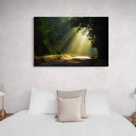 Tablou canvas - Soare-ntre copaci - Cameradevis.ro