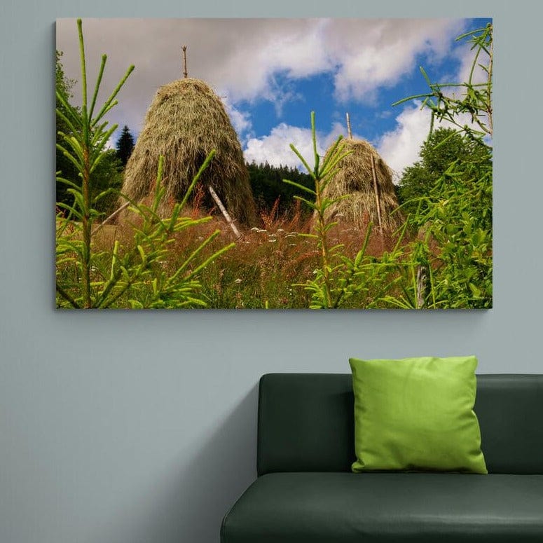 Tablou canvas romanesc - Muntii Apuseni - Cameradevis.ro