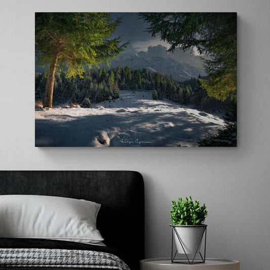 Tablou canvas romanesc - Umbre înghețate - Valea Urșilor, Piatra Craiului - Cameradevis.ro