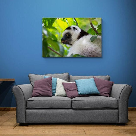 Tablou canvas - Lemur - Cameradevis.ro Cameradevis.ro