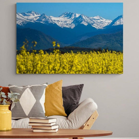 Tablou canvas romanesc - Primăvara - Cameradevis.ro