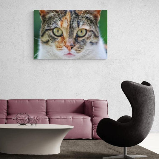 Tablou canvas romanesc - Pisica - Cameradevis.ro Cameradevis.ro