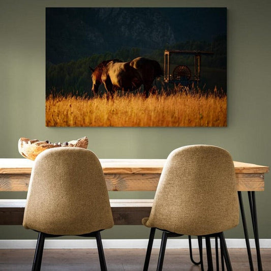 Tablou canvas romanesc - Tot inainte, niciodata inapoi, Citera-Petrila, Romania 19.08.2019 - Cameradevis.ro