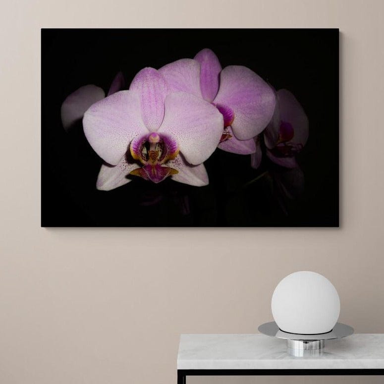 Tablou canvas romanesc - Orhidee - Cameradevis.ro