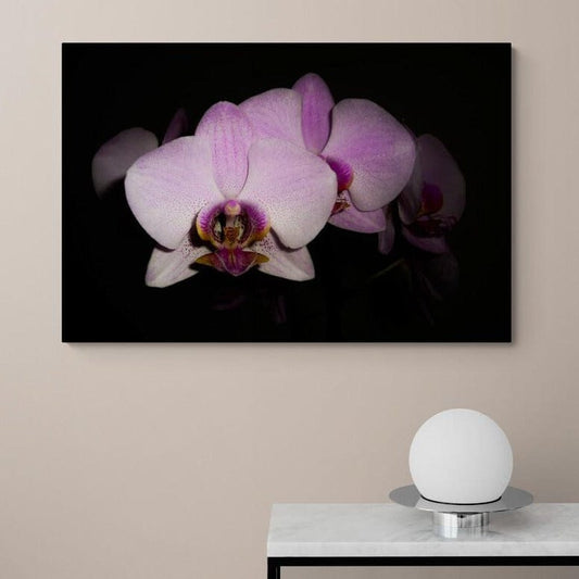 Tablou canvas romanesc - Orhidee - Cameradevis.ro