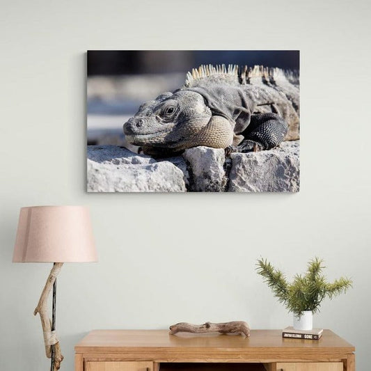 Tablou canvas -Iguana - Cameradevis.ro