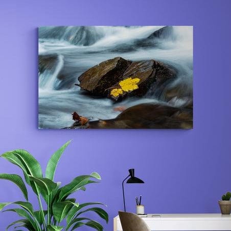 Tablou canvas - Puterea apei - Cameradevis.ro