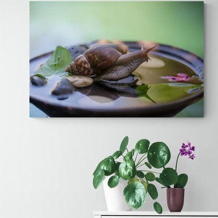 Tablou canvas -Melc pe apa - Cameradevis.ro