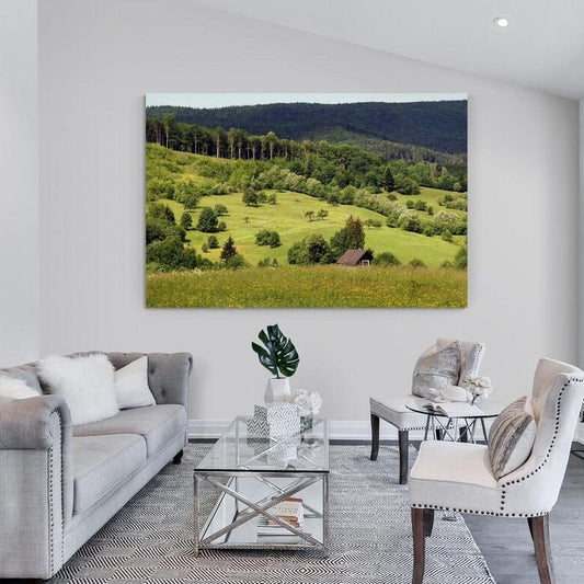 Tablou canvas romanesc - Primavara (la iesire din Cacica spre Humor) - Cameradevis.ro