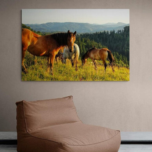 Tablou canvas romanesc - Roșia Montană-Șule - Cameradevis.ro