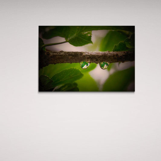 Tablou Canvas romanesc - Picături de ploaie - Cameradevis.ro Cameradevis.ro
