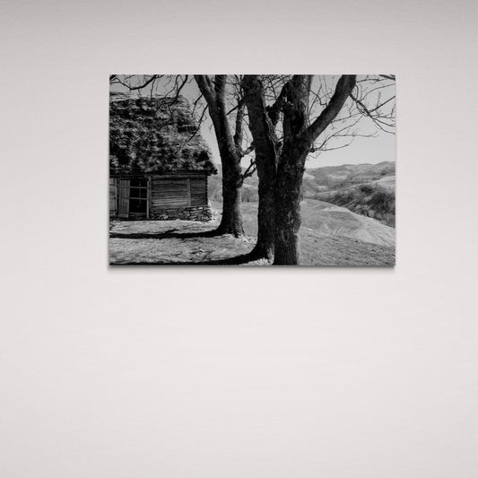 Tablou Canvas romanesc - Umbre - Cameradevis.ro