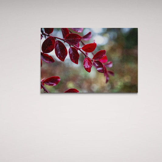 Tablou Canvas romanesc - Autumn is coming - Cameradevis.ro Cameradevis.ro