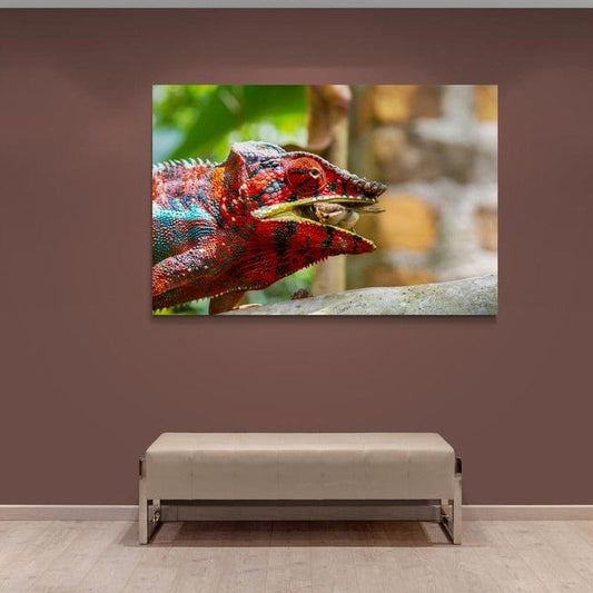 Tablou canvas -Cameleon - Cameradevis.ro
