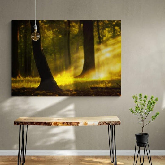 Tablou canvas romanesc - Padurea de vis - Cameradevis.ro